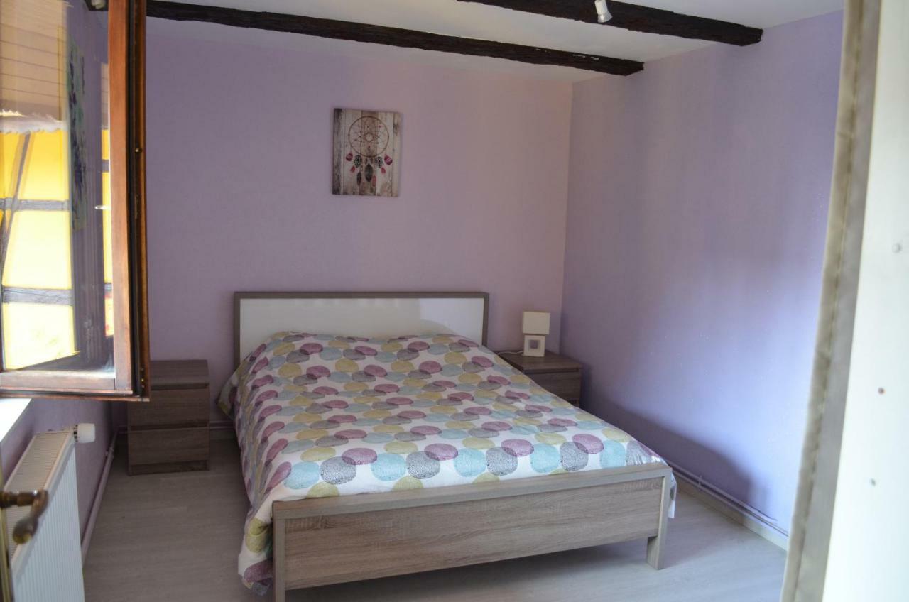 Maison Alsacienne A Andolsheim Apartment Bagian luar foto
